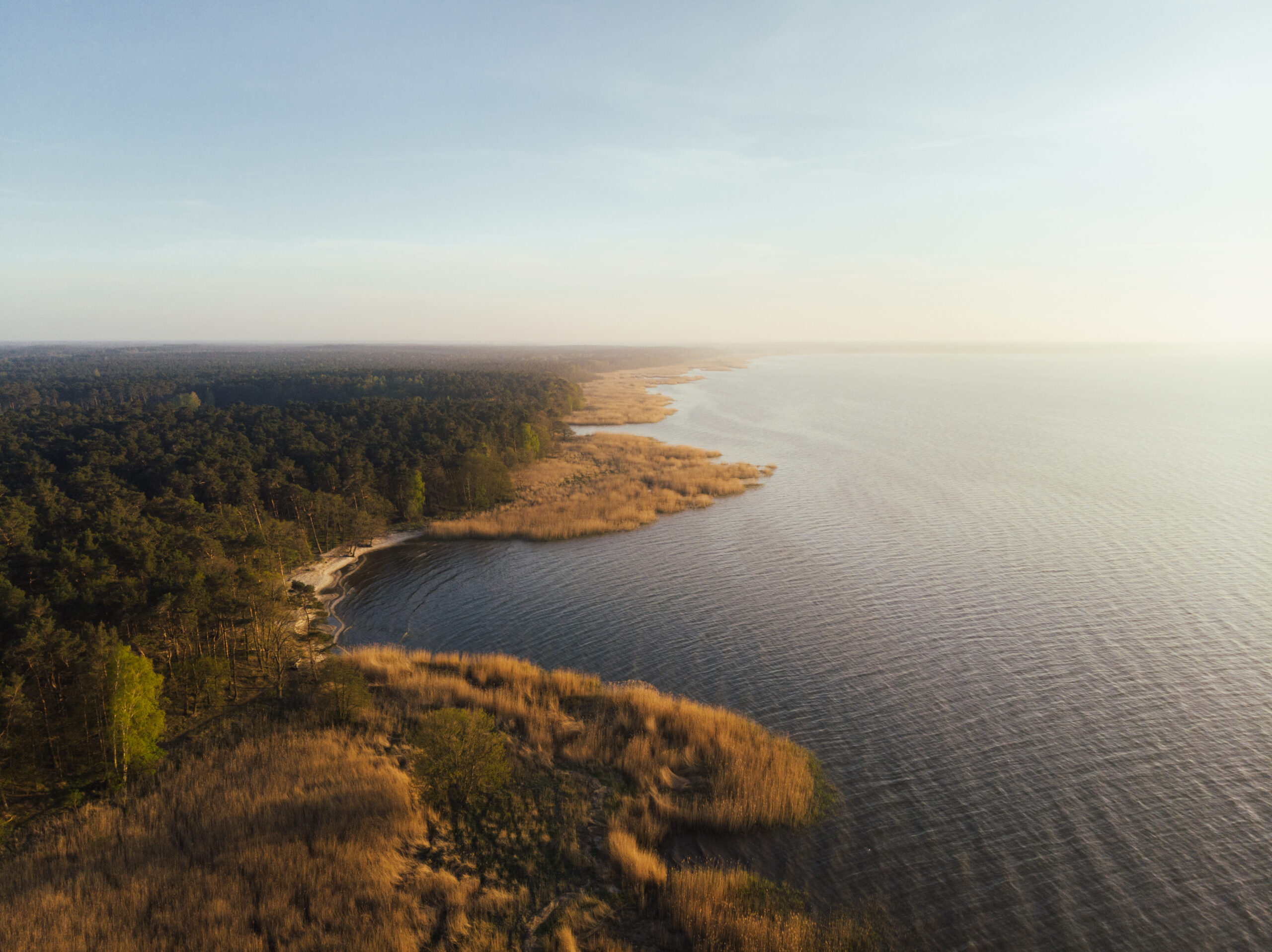 Aerial view from a drone of a winding coastline with bays and inlets bordered by a dense forest looking towards the distant horizon and sun